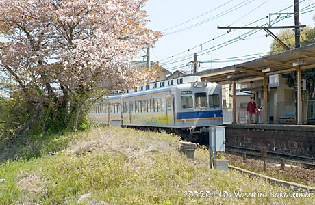 竈山駅の桜